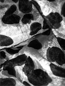 photo print leopard